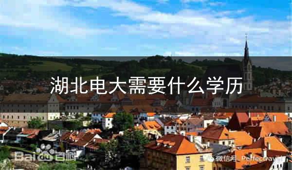 湖北电大需要什么学历