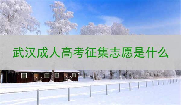 武汉成人高考征集志愿是什么