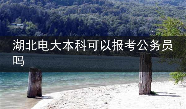 湖北电大本科可以报考公务员吗