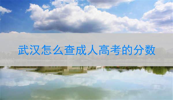 武汉怎么查成人高考的分数