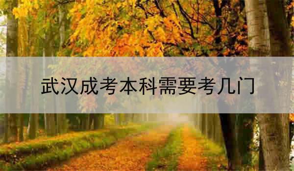 武汉成考本科需要考几门