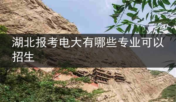 湖北报考电大有哪些专业可以招生