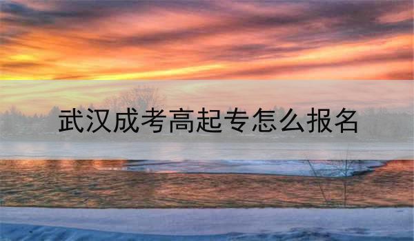 武汉成考高起专怎么报名