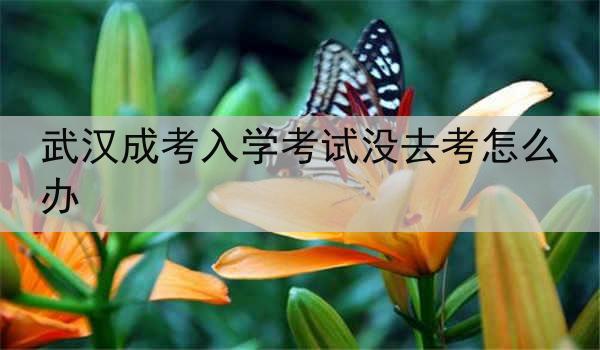 武汉成考入学考试没去考怎么办