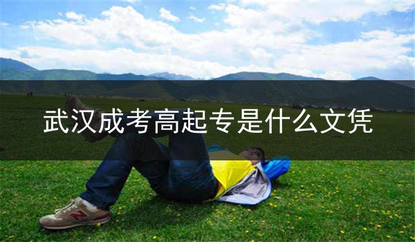 武汉成考高起专是什么文凭