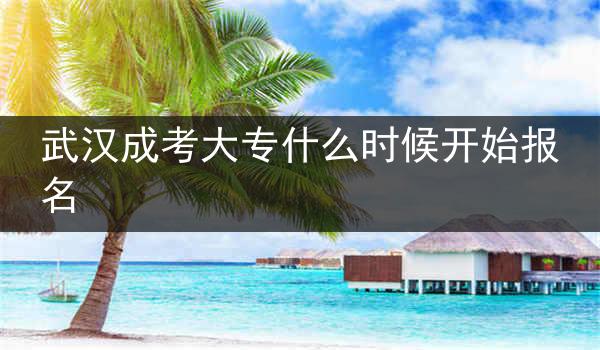 武汉成考大专什么时候开始报名