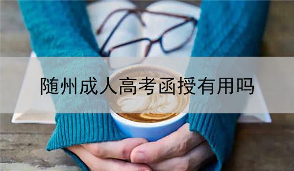 随州成人高考函授有用吗