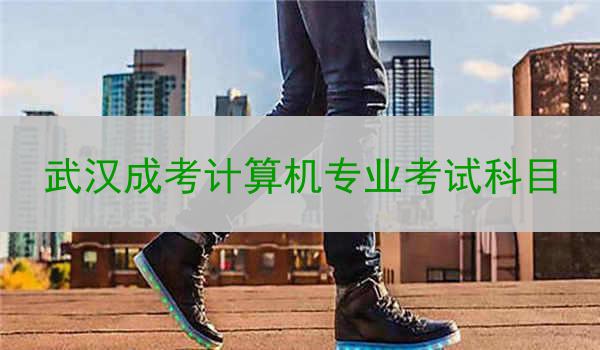 武汉成考计算机专业考试科目