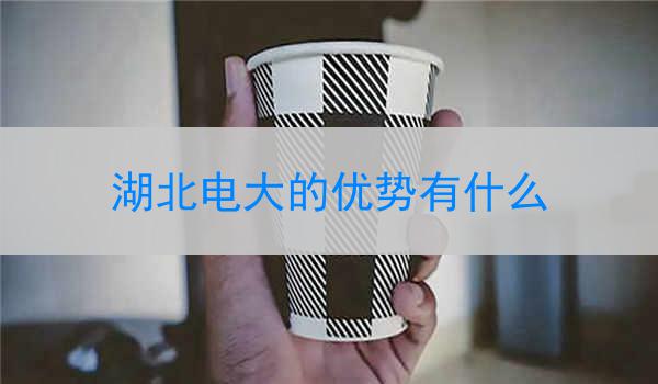 湖北电大的优势有什么