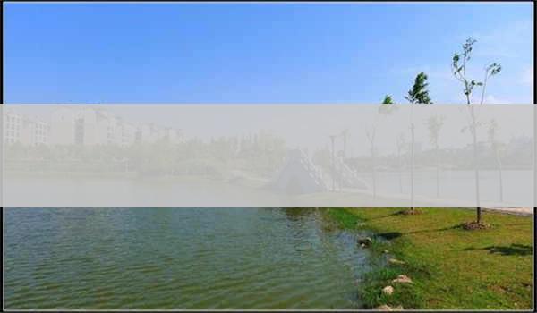 自考第二学位的认可度