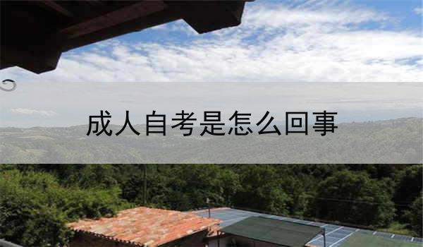 成人自考是怎么回事