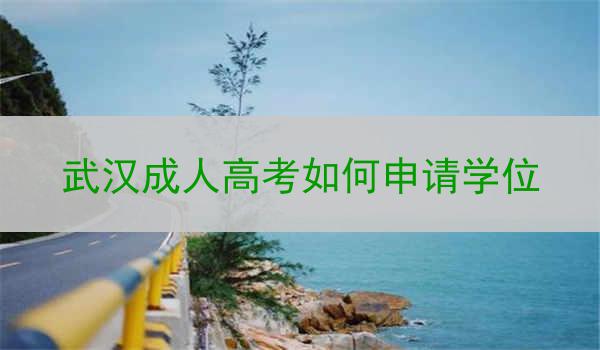 武汉成人高考如何申请学位