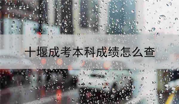 十堰成考本科成绩怎么查