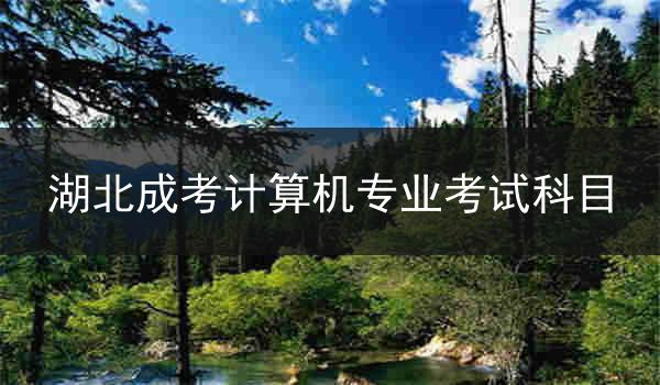 湖北成考计算机专业考试科目