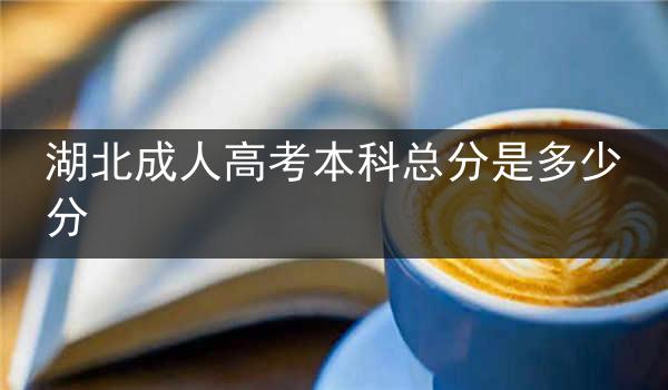 湖北成人高考本科总分是多少分