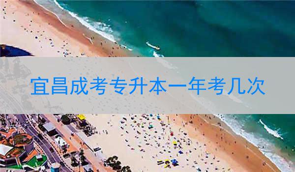 宜昌成考专升本一年考几次