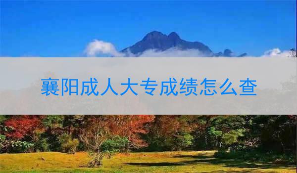襄阳成人大专成绩怎么查