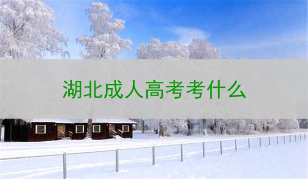 湖北成人高考考什么