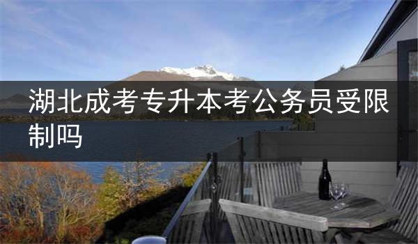 湖北成考专升本考公务员受限制吗