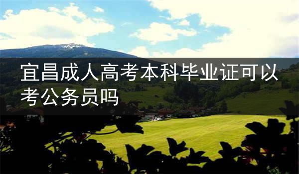 宜昌成人高考本科毕业证可以考公务员吗