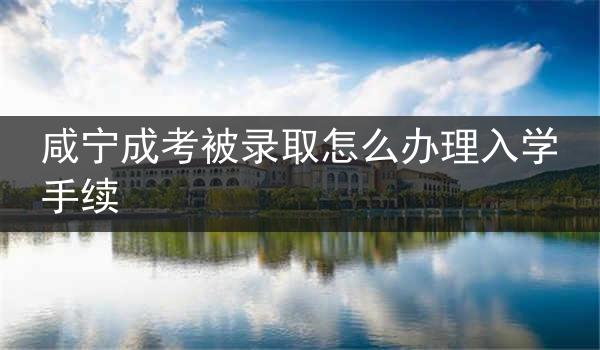咸宁成考被录取怎么办理入学手续