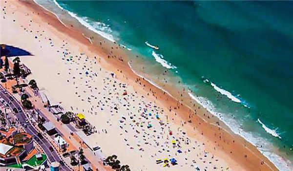 自学考试考什么