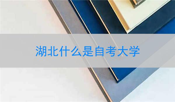 湖北什么是自考大学