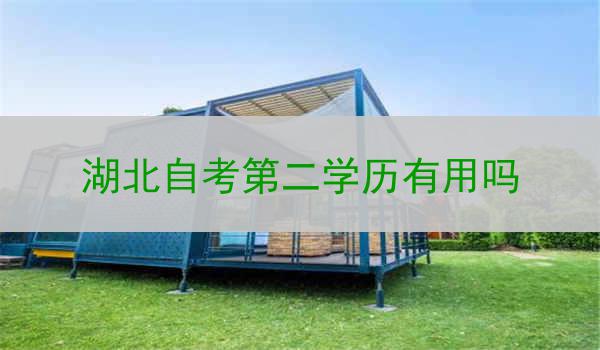 湖北自考第二学历有用吗
