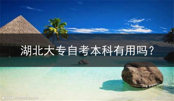 湖北大专自考本科有用吗？