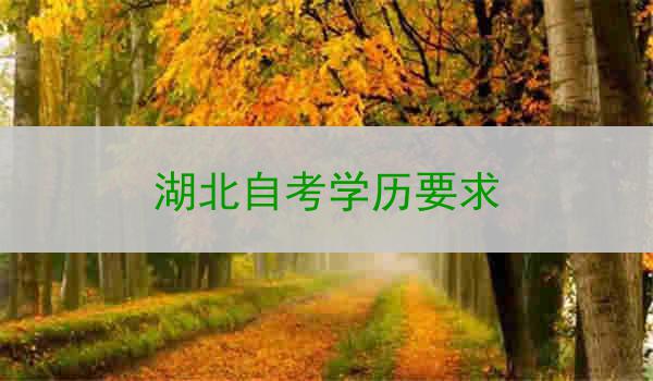 湖北自考学历要求