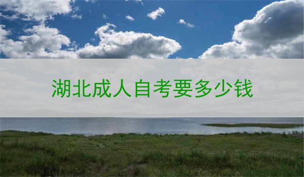 湖北成人自考要多少钱