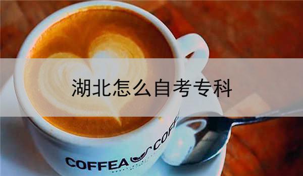 湖北怎么自考专科