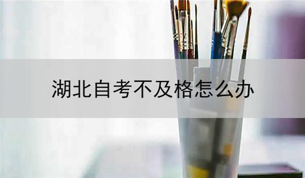 湖北自考不及格怎么办