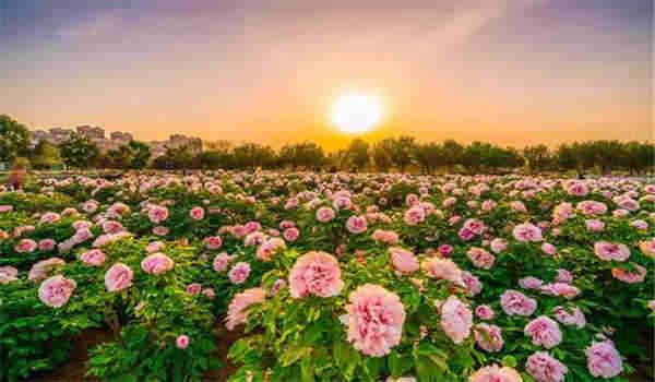 2024电大有什么报名要求吗 时间是几月份