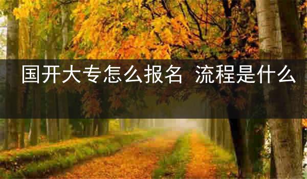 国开大专怎么报名 流程是什么