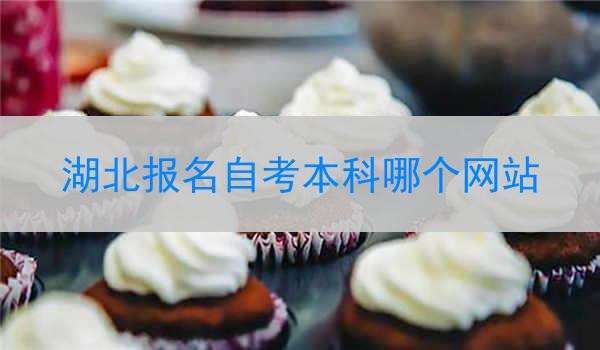 湖北报名自考本科哪个网站
