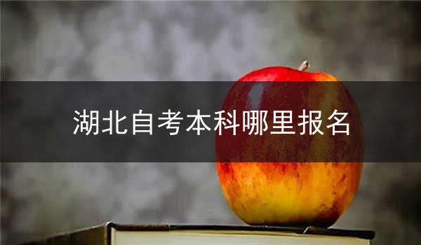 湖北自考本科哪里报名