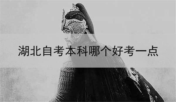 湖北自考本科哪个好考一点