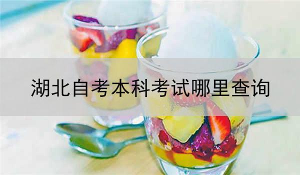 湖北自考本科考试哪里查询