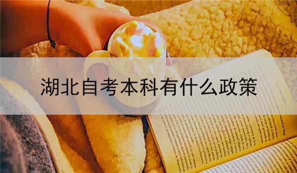 湖北自考本科有什么政策