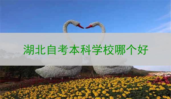 湖北自考本科学校哪个好
