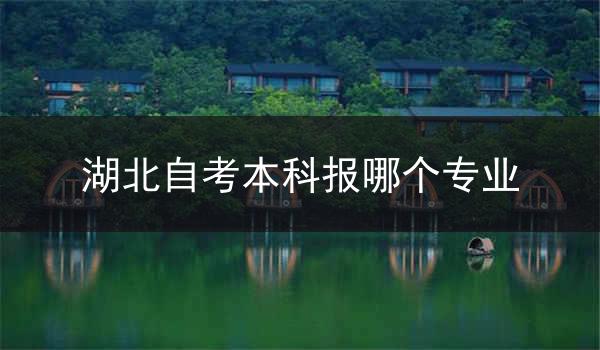 湖北自考本科报哪个专业