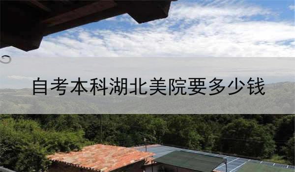 自考本科湖北美院要多少钱