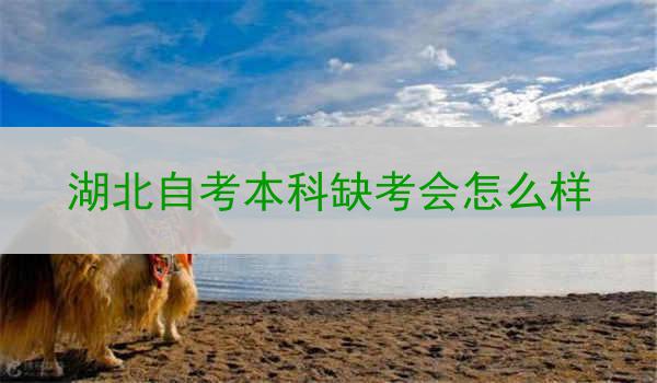 湖北自考本科缺考会怎么样
