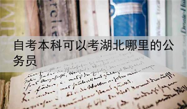自考本科可以考湖北哪里的公务员