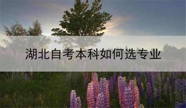 湖北自考本科如何选专业
