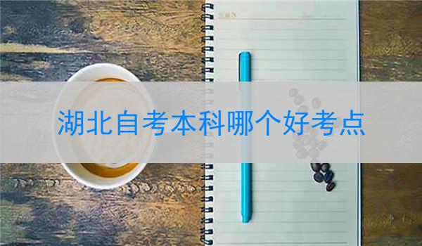湖北自考本科哪个好考点