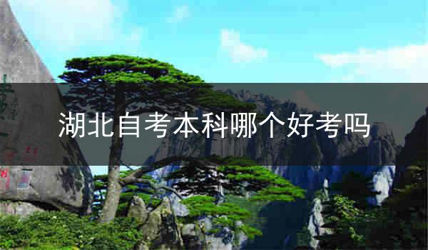 湖北自考本科哪个好考吗