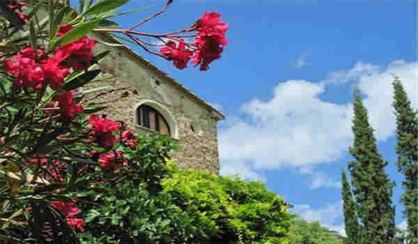 湖北自考本科教材如何获取