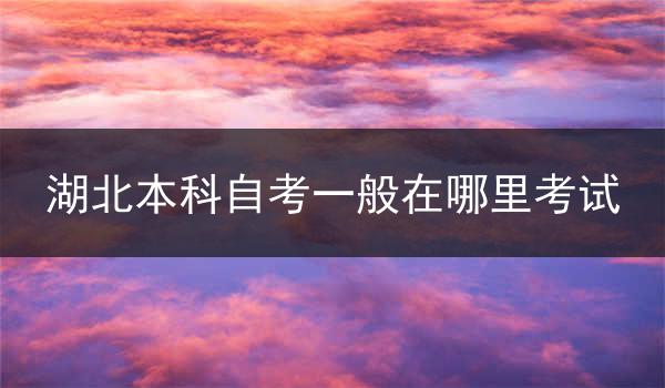 湖北本科自考一般在哪里考试